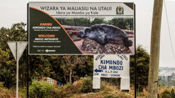 MBOZI  Meteorit - GPS = 9°6'26