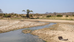 MWAGUSI  RIVER